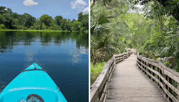 Top 8 Must-Visit Parks in Orlando