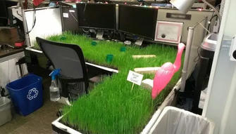 Easy Office Pranks for Coworkers