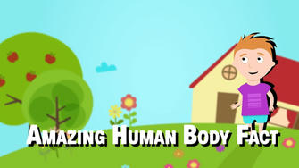 8 Amazing Facts about the Human Body