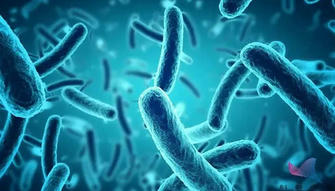 Five Complications of Salmonellosis