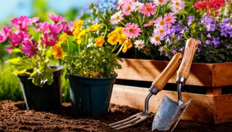 Sowing the Seeds of Health: How Does Gardening Boost Your Mental and Physical Health?