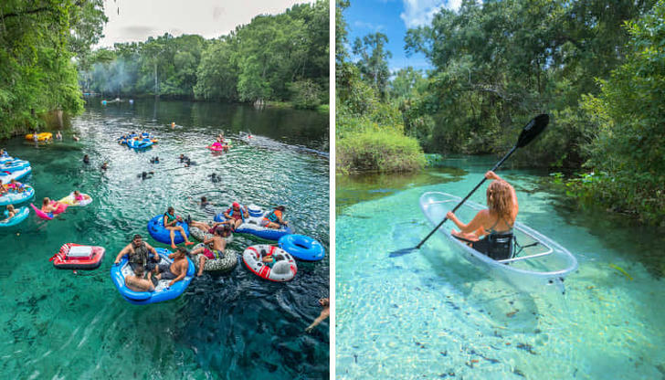 Top 8 Must-Visit Parks in Orlando